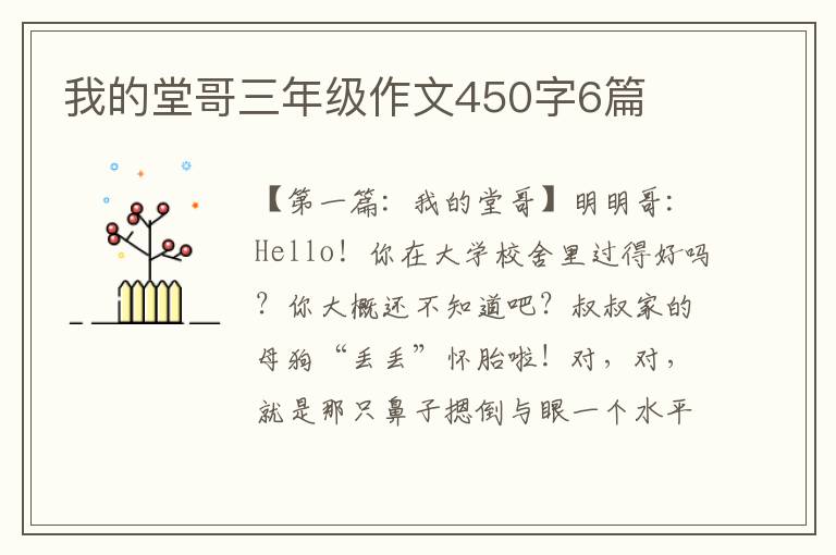 我的堂哥三年级作文450字6篇