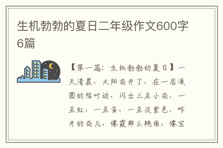 生机勃勃的夏日二年级作文600字6篇