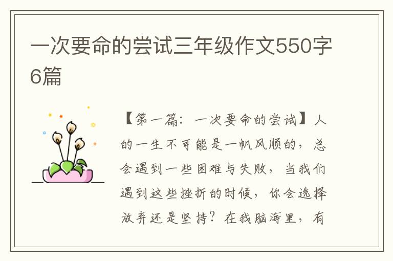 一次要命的尝试三年级作文550字6篇