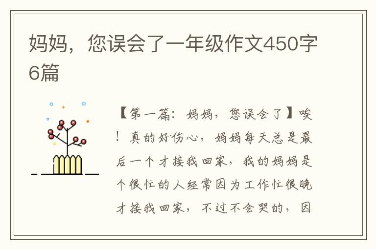 妈妈，您误会了一年级作文450字6篇