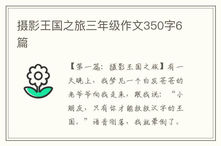 摄影王国之旅三年级作文350字6篇