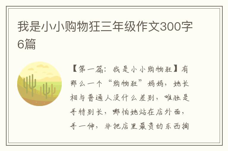 我是小小购物狂三年级作文300字6篇