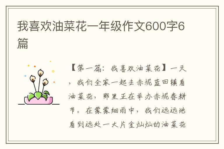 我喜欢油菜花一年级作文600字6篇