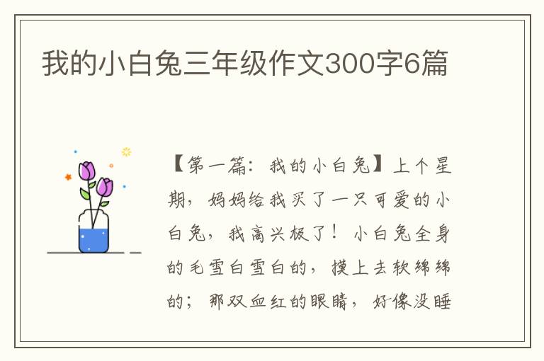 我的小白兔三年级作文300字6篇