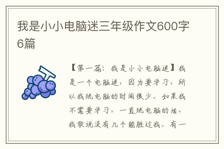 我是小小电脑迷三年级作文600字6篇