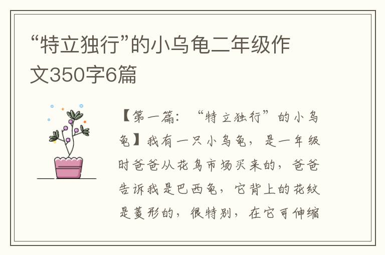 “特立独行”的小乌龟二年级作文350字6篇