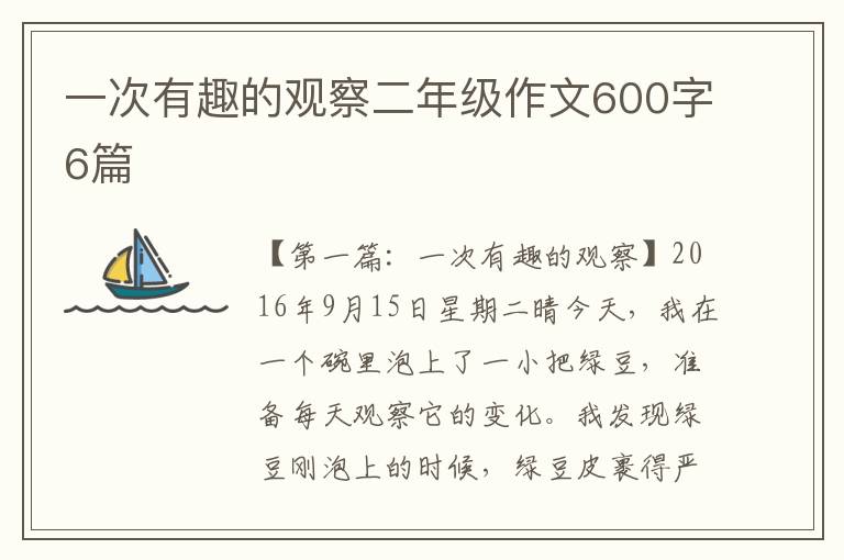 一次有趣的观察二年级作文600字6篇