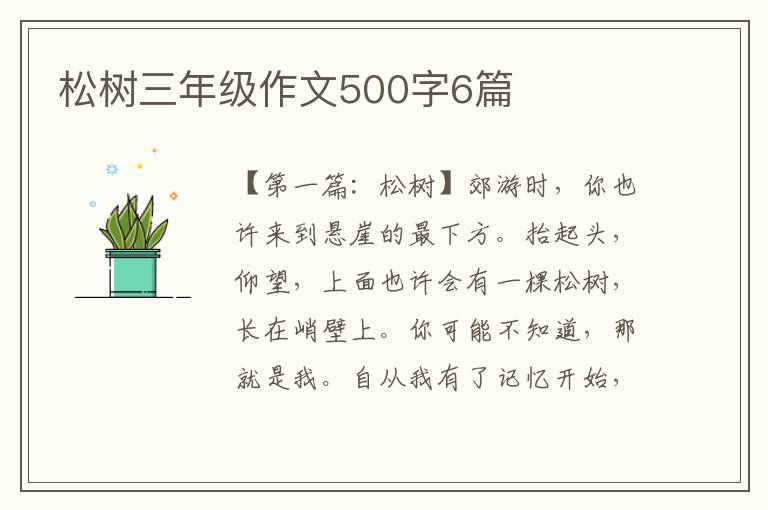 松树三年级作文500字6篇