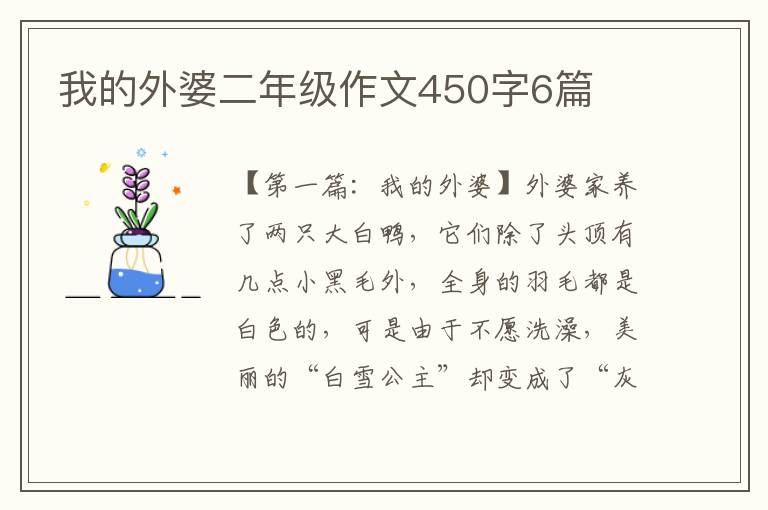 我的外婆二年级作文450字6篇