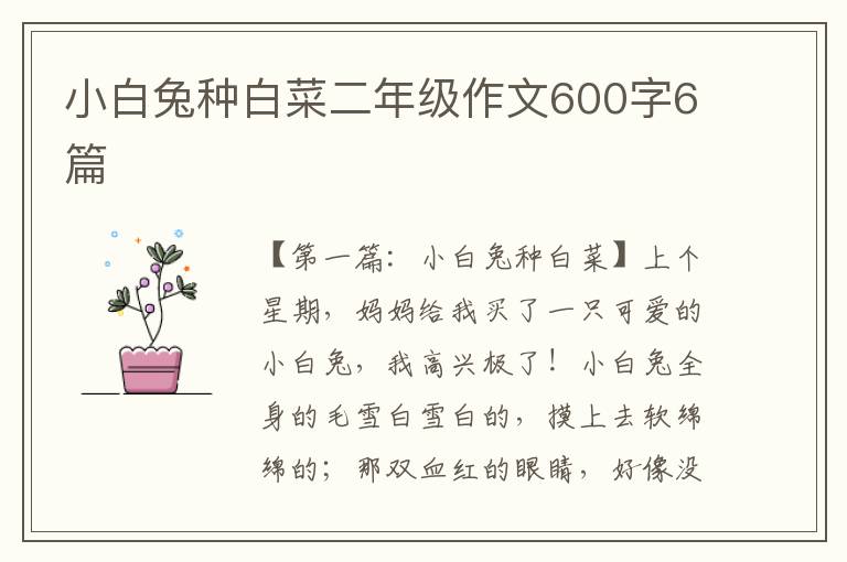 小白兔种白菜二年级作文600字6篇