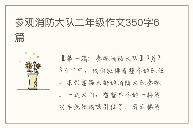 参观消防大队二年级作文350字6篇