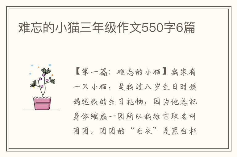 难忘的小猫三年级作文550字6篇