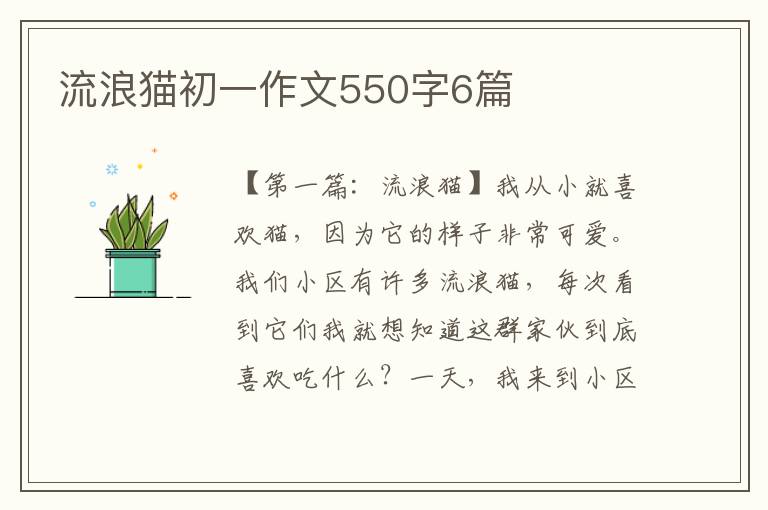 流浪猫初一作文550字6篇