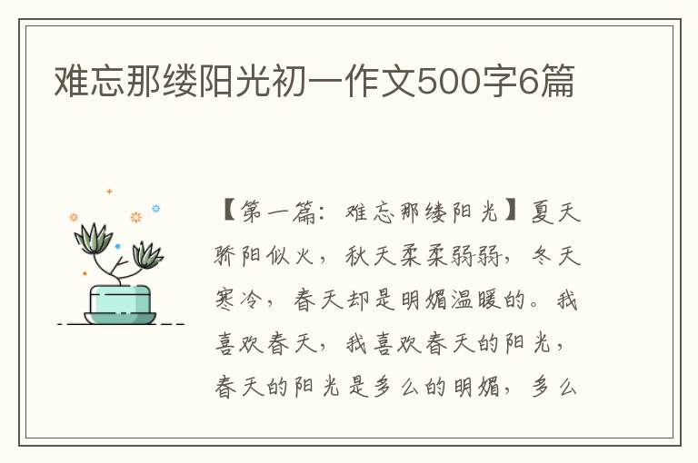 难忘那缕阳光初一作文500字6篇