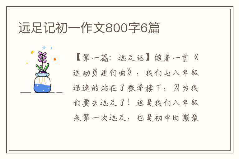 远足记初一作文800字6篇