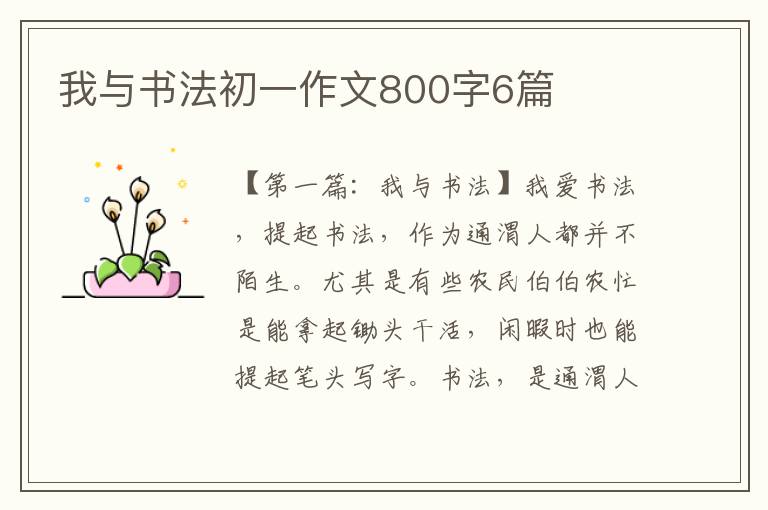 我与书法初一作文800字6篇