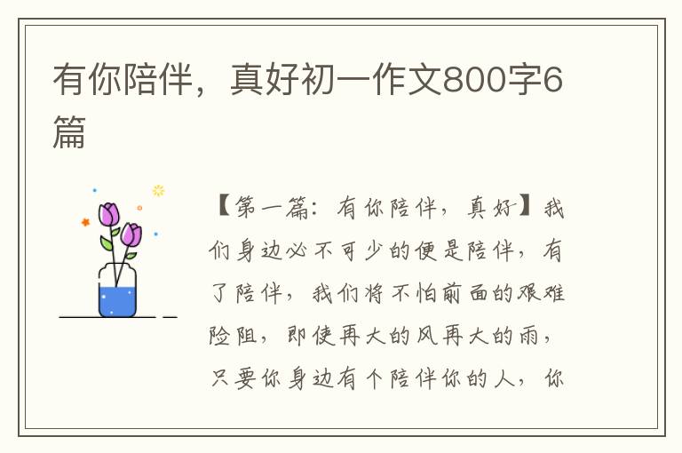 有你陪伴，真好初一作文800字6篇