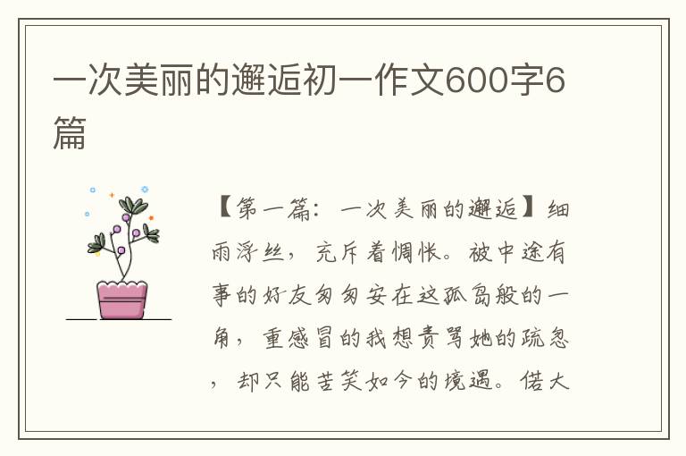 一次美丽的邂逅初一作文600字6篇