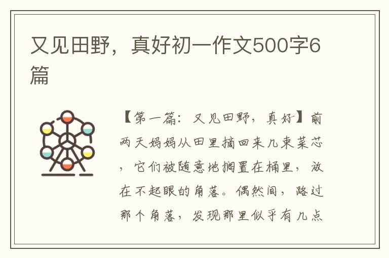 又见田野，真好初一作文500字6篇