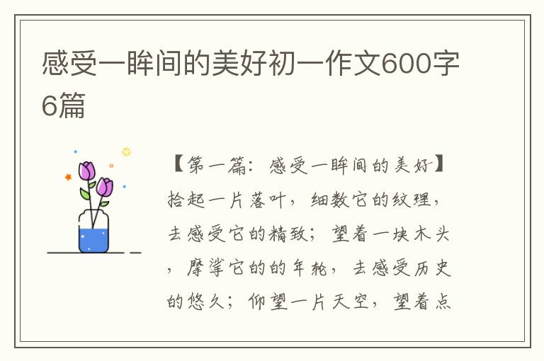 感受一眸间的美好初一作文600字6篇