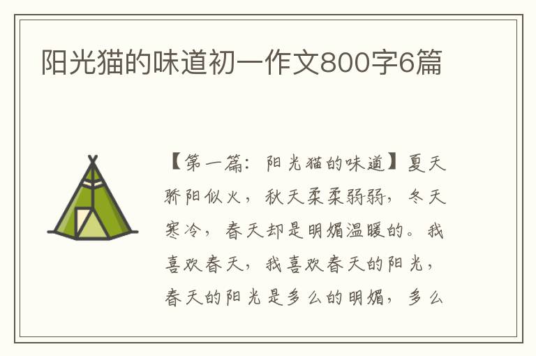 阳光猫的味道初一作文800字6篇