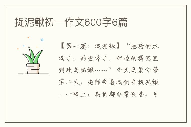 捉泥鳅初一作文600字6篇