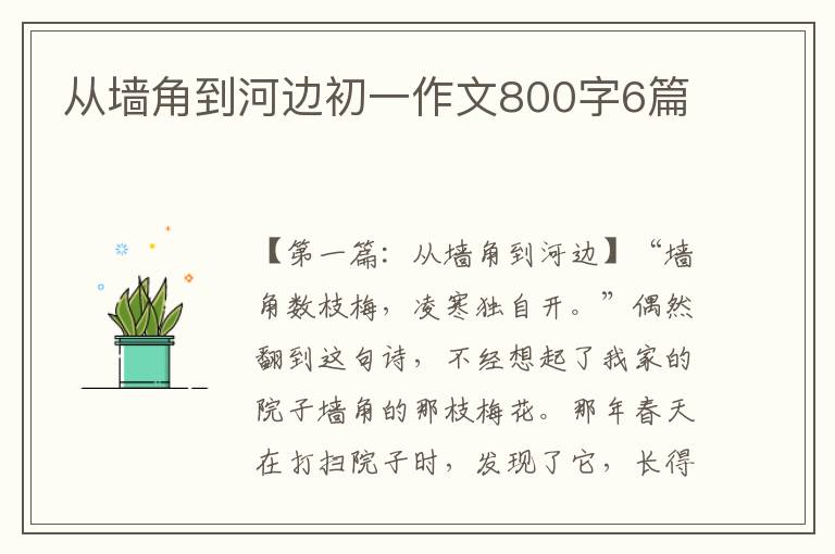 从墙角到河边初一作文800字6篇