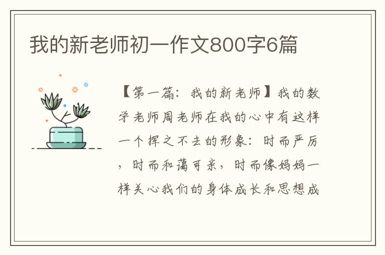 我的新老师初一作文800字6篇