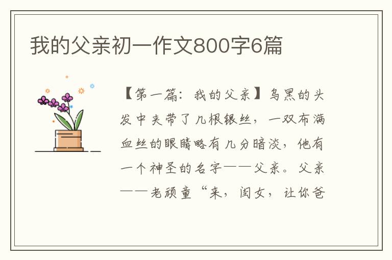 我的父亲初一作文800字6篇