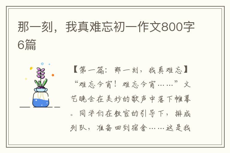 那一刻，我真难忘初一作文800字6篇