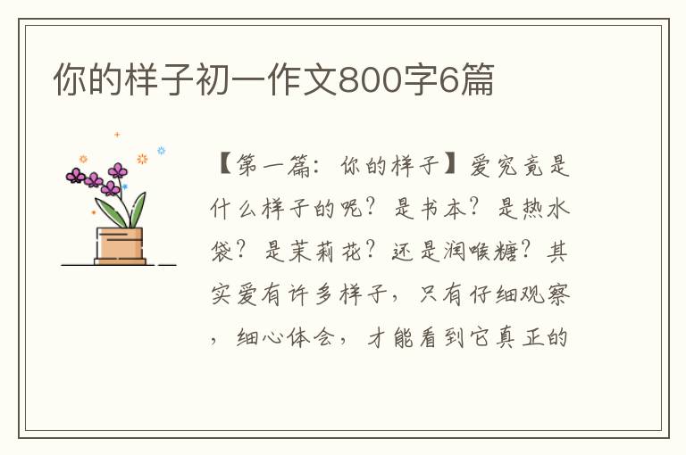 你的样子初一作文800字6篇