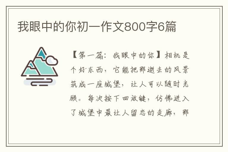 我眼中的你初一作文800字6篇