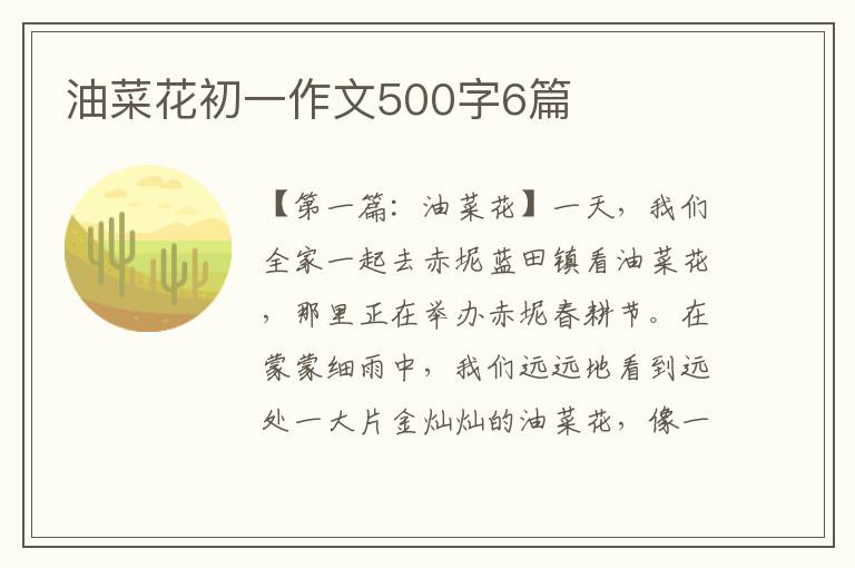 油菜花初一作文500字6篇