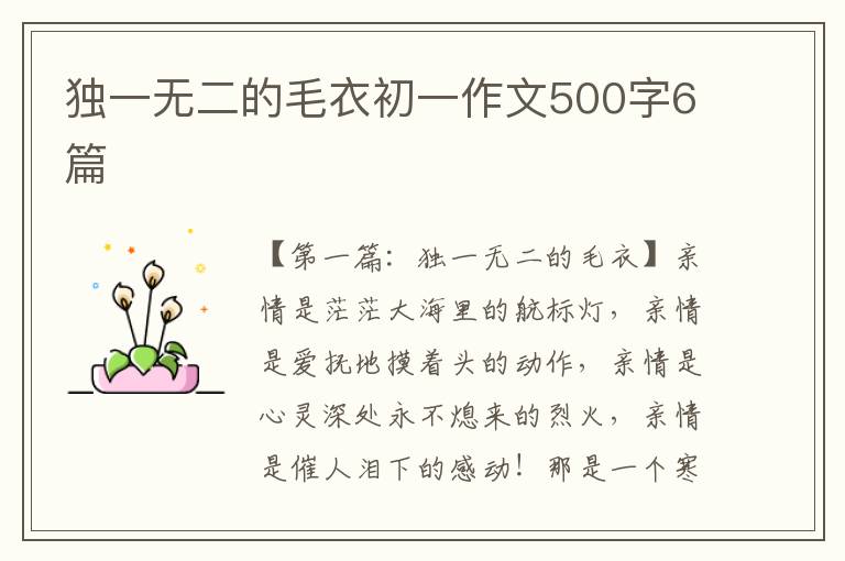 独一无二的毛衣初一作文500字6篇