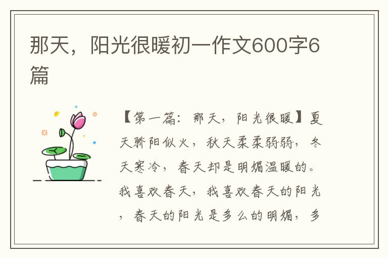 那天，阳光很暖初一作文600字6篇