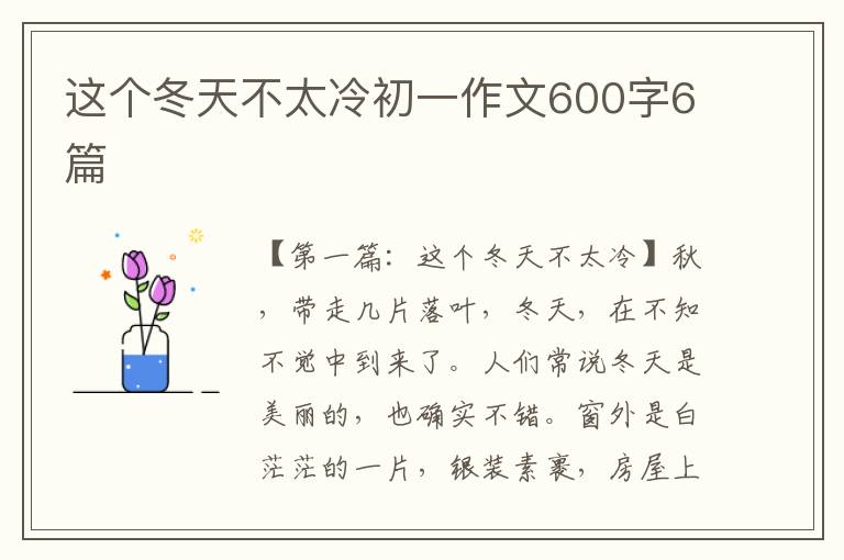 这个冬天不太冷初一作文600字6篇