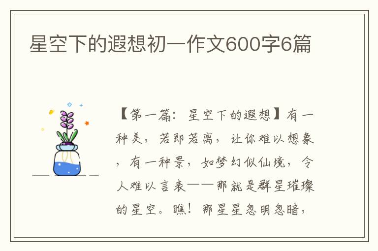 星空下的遐想初一作文600字6篇