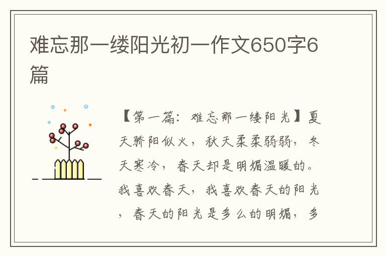 难忘那一缕阳光初一作文650字6篇