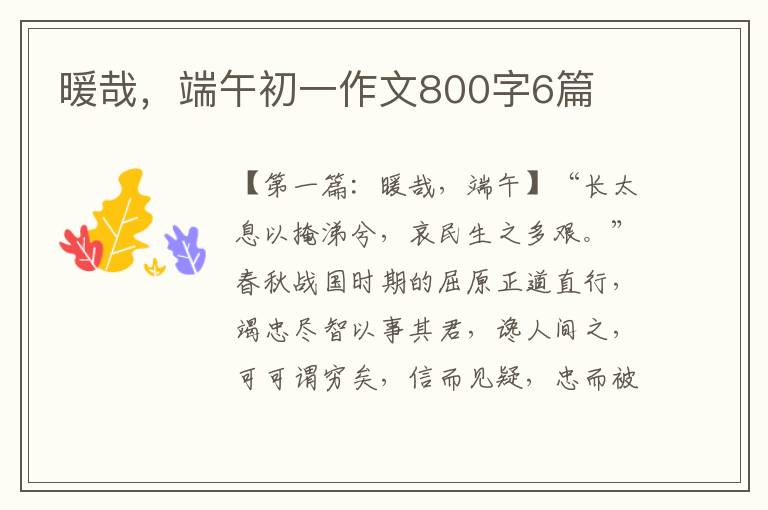 暖哉，端午初一作文800字6篇