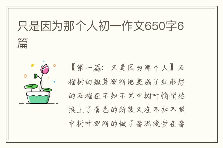 只是因为那个人初一作文650字6篇