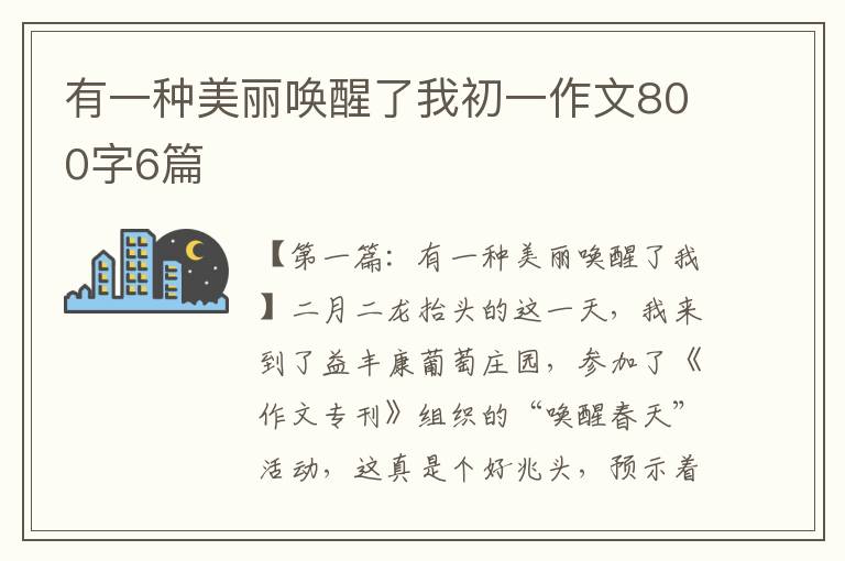 有一种美丽唤醒了我初一作文800字6篇