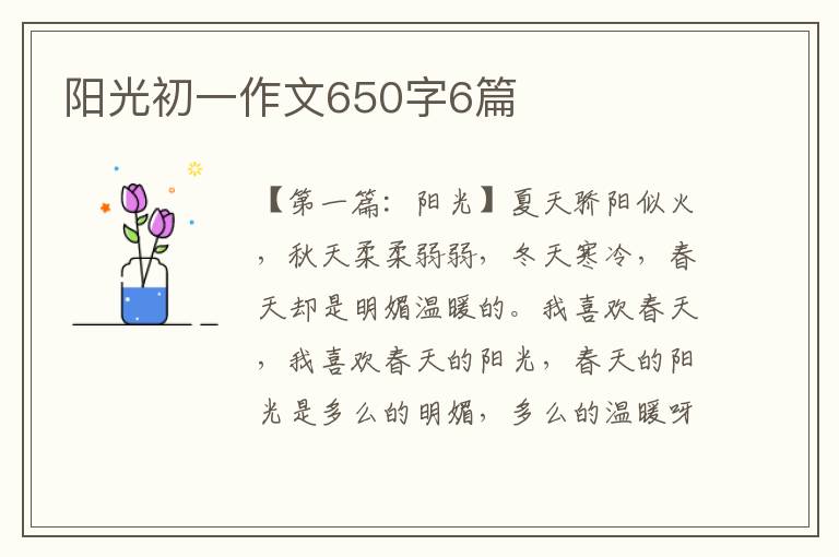 阳光初一作文650字6篇