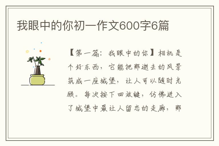 我眼中的你初一作文600字6篇