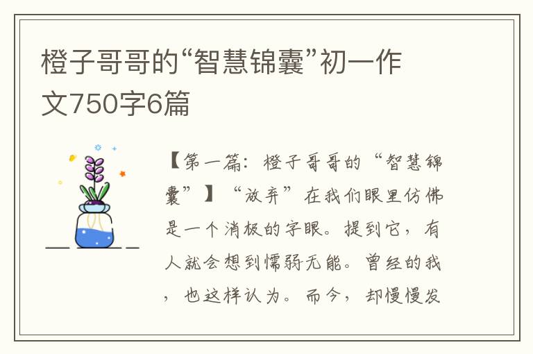 橙子哥哥的“智慧锦囊”初一作文750字6篇