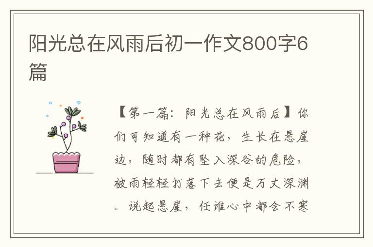 阳光总在风雨后初一作文800字6篇