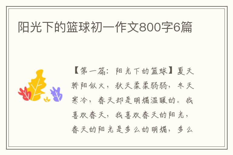 阳光下的篮球初一作文800字6篇