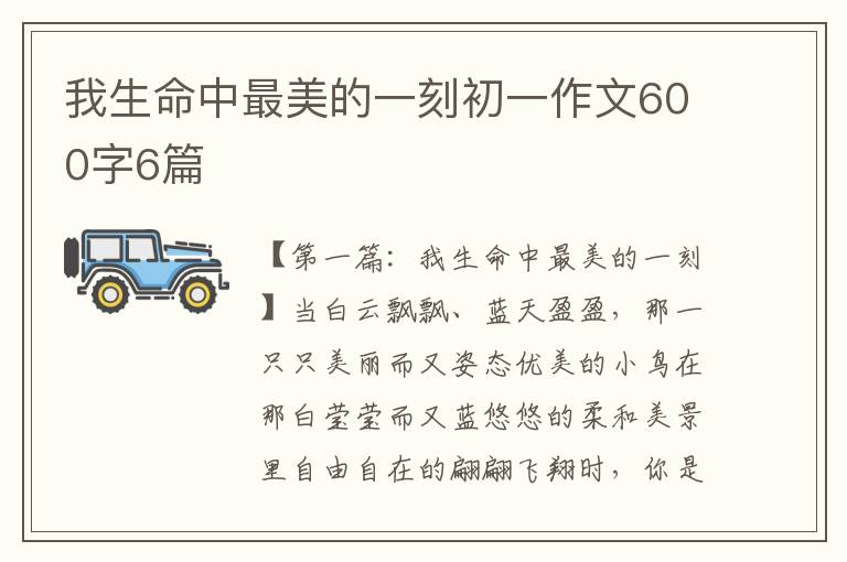 我生命中最美的一刻初一作文600字6篇