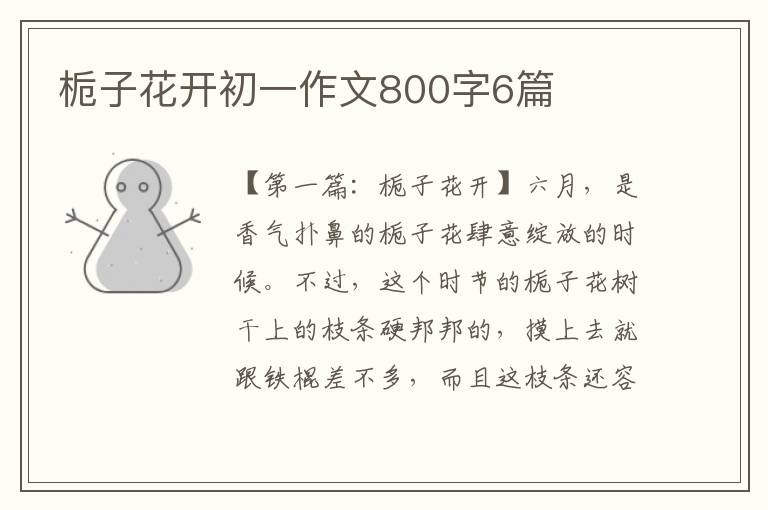 栀子花开初一作文800字6篇