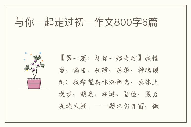 与你一起走过初一作文800字6篇