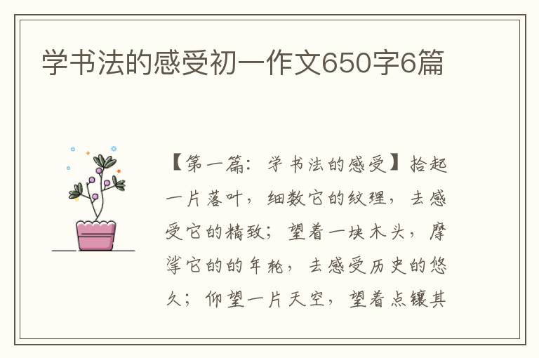 学书法的感受初一作文650字6篇